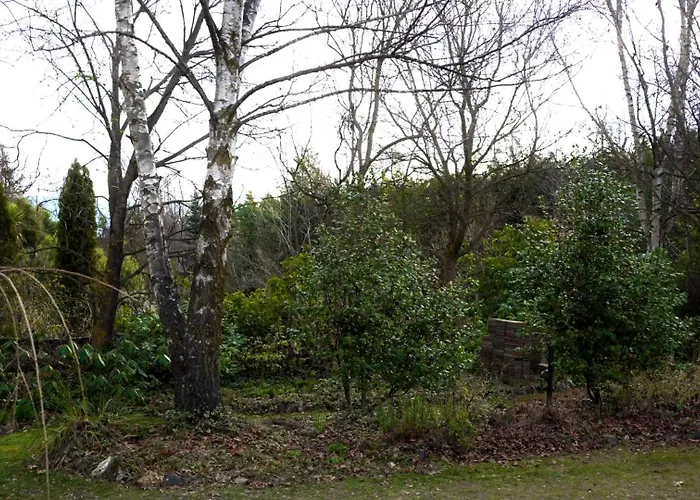 Wood-fired Garden Courtyard Escape 公寓 *