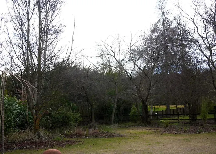 Wood-fired Garden Courtyard Escape * 瓦纳卡